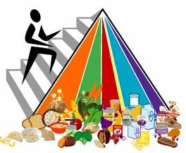 The 2005 USDA food pyramid
