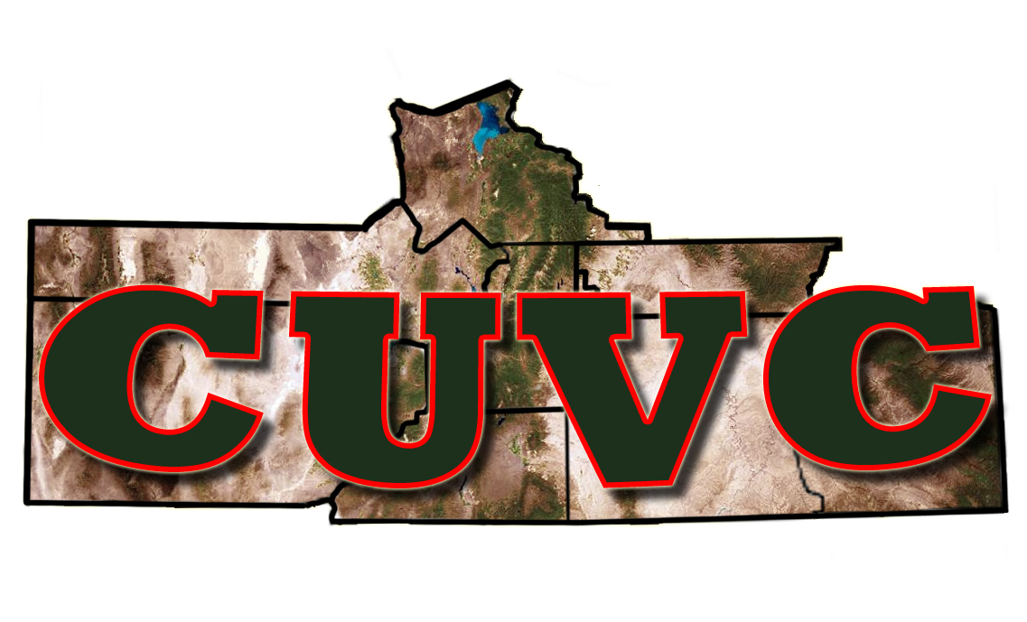 Central Utah Veterans Council logo
